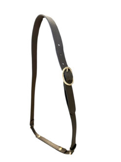 Gucci Brown Leather Gold Hardware Adjustable Bag Strap Blondie Ophidia Diana